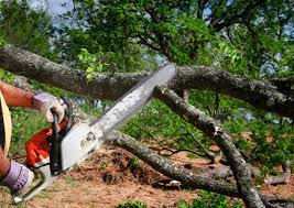 Best Lawn Grading and Leveling  in Ripon, CA